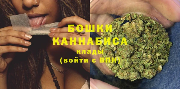 PSILOCYBIN Ельня