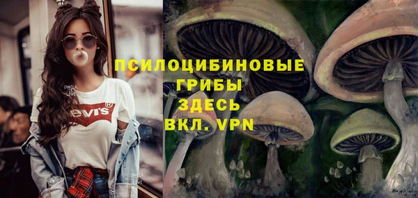 стаф Гусь-Хрустальный