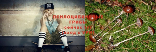 мдма Дмитров