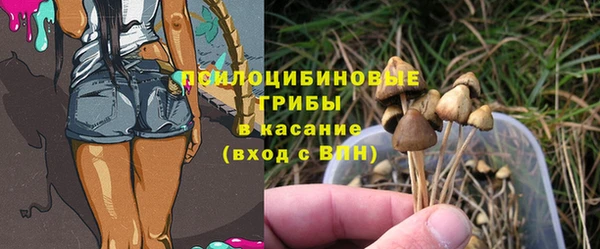альфа пвп Дмитровск