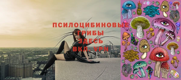 альфа пвп Дмитровск