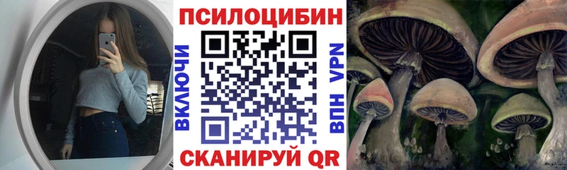 Галлюциногенные грибы прущие грибы  купить наркотик  Гвардейск 